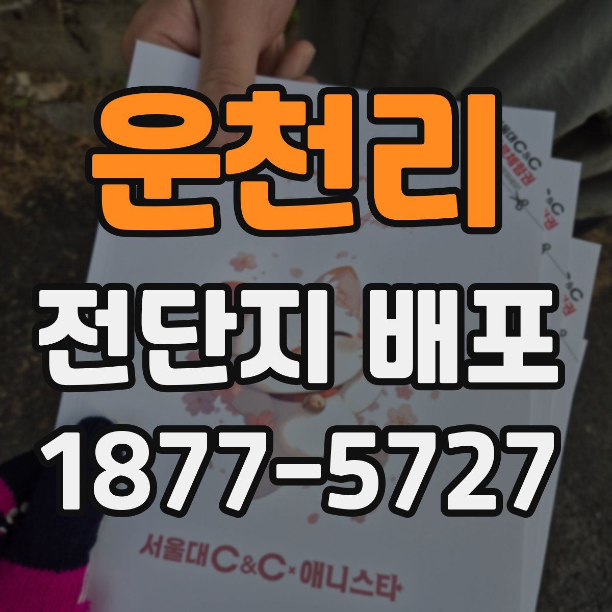 운천리 전단지 배포