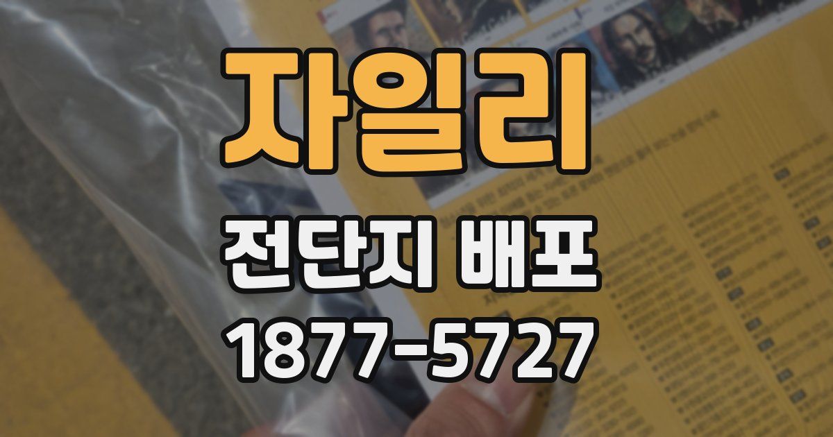 자일리 전단지 배포