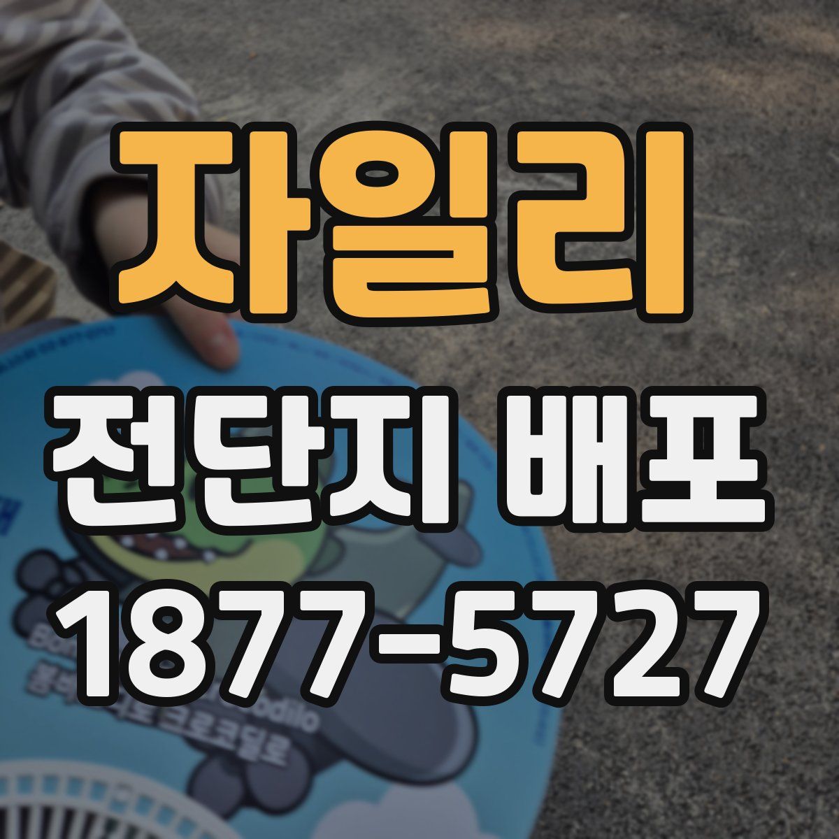 자일리 전단지 배포