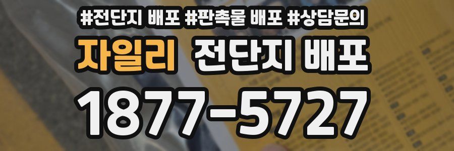 자일리 전단지 배포