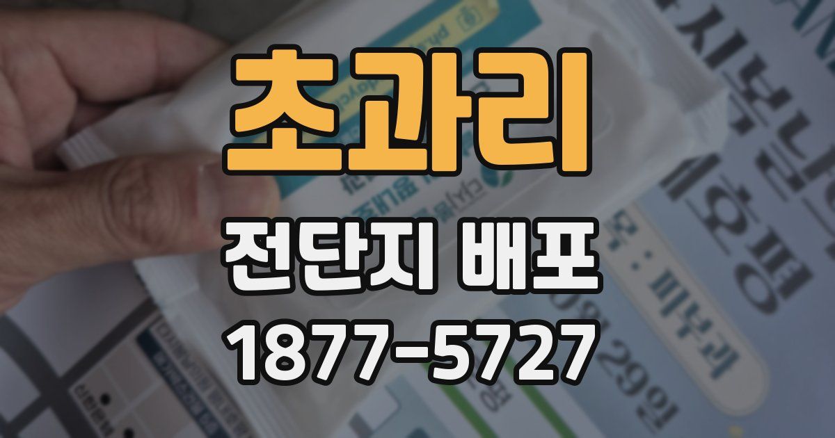 초과리 전단지 배포