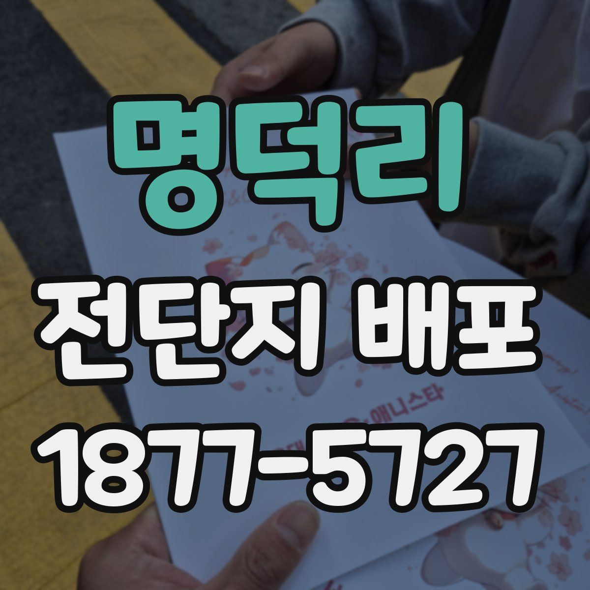 명덕리 전단지 배포