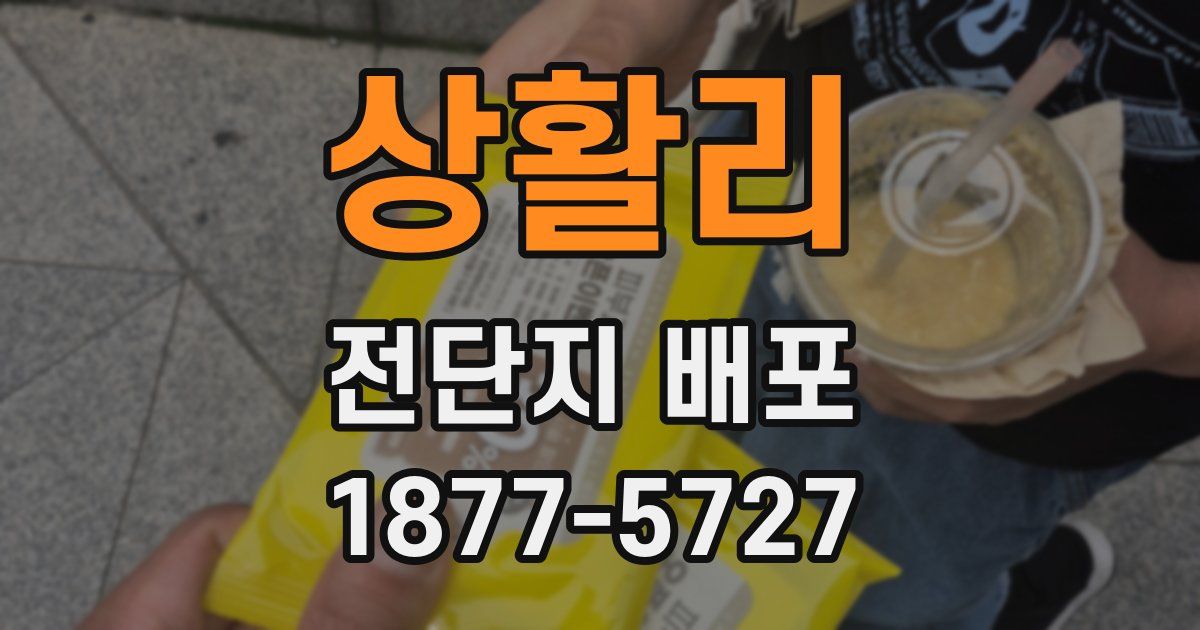 상활리 전단지 배포