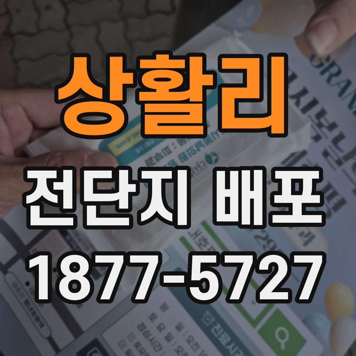 상활리 전단지 배포