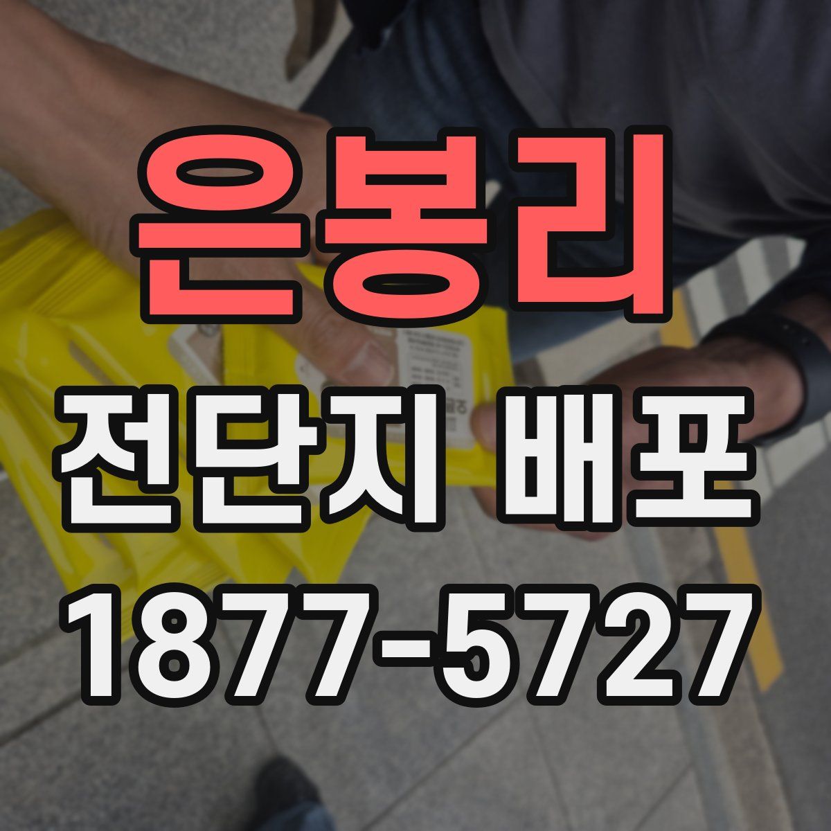 은봉리 전단지 배포