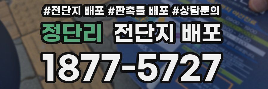 정단리 전단지 배포