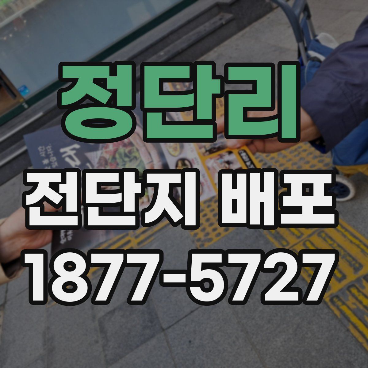 정단리 전단지 배포