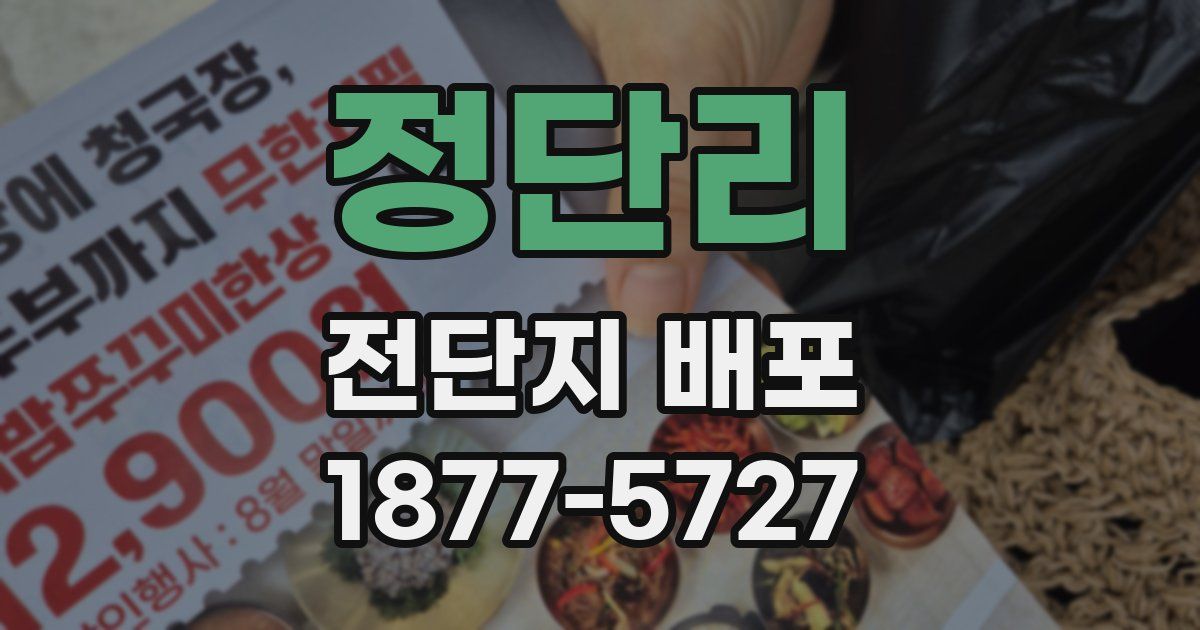 정단리 전단지 배포