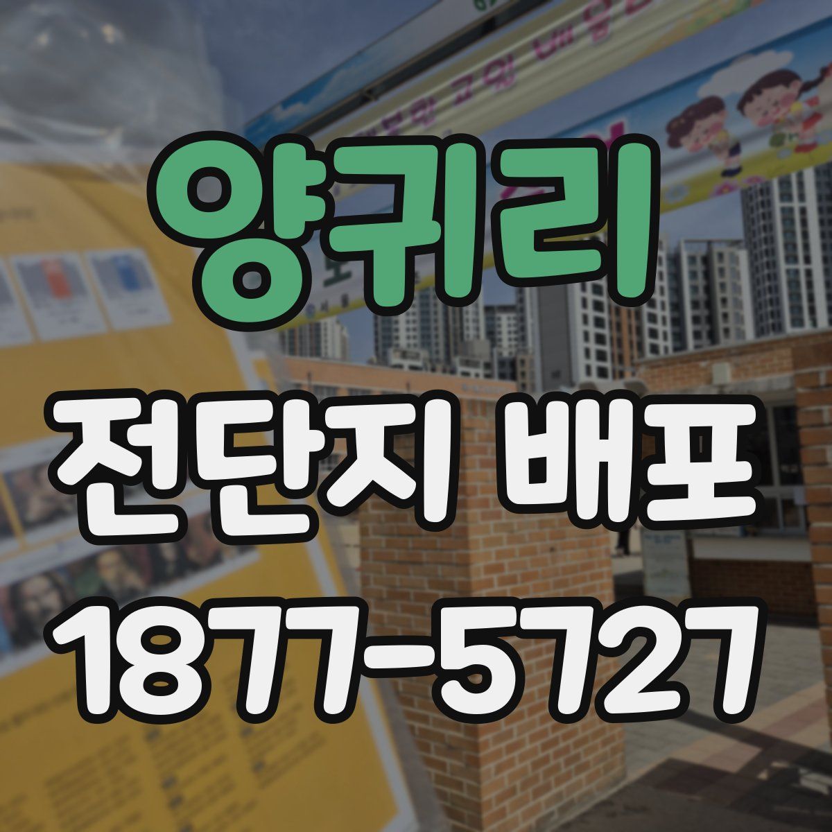 양귀리 전단지 배포