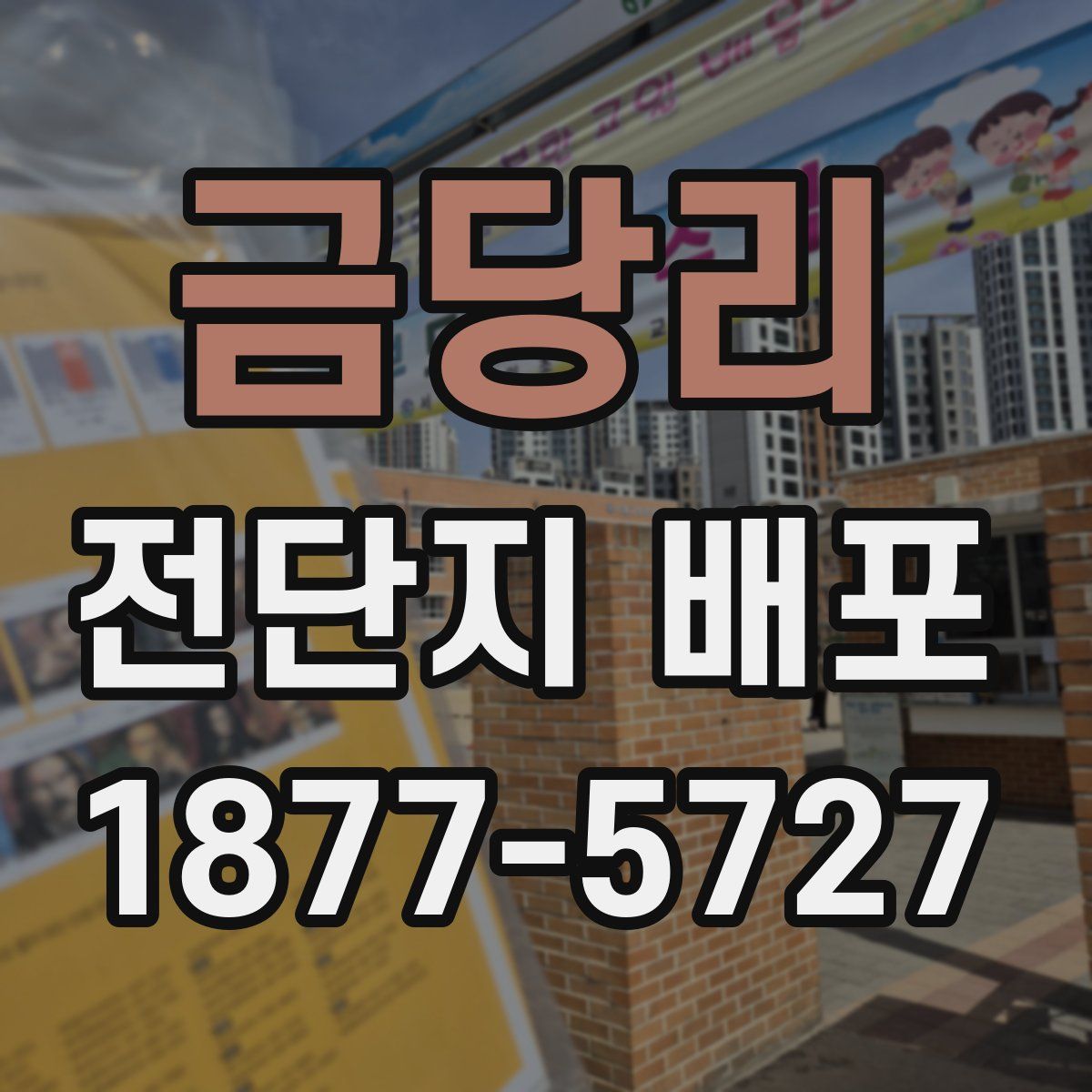 금당리 전단지 배포