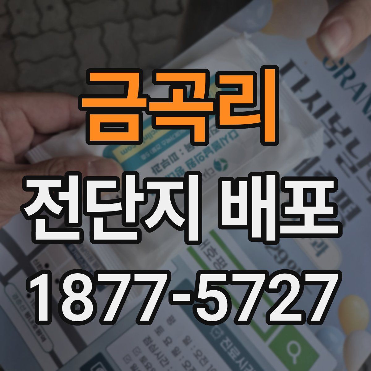 금곡리 전단지 배포