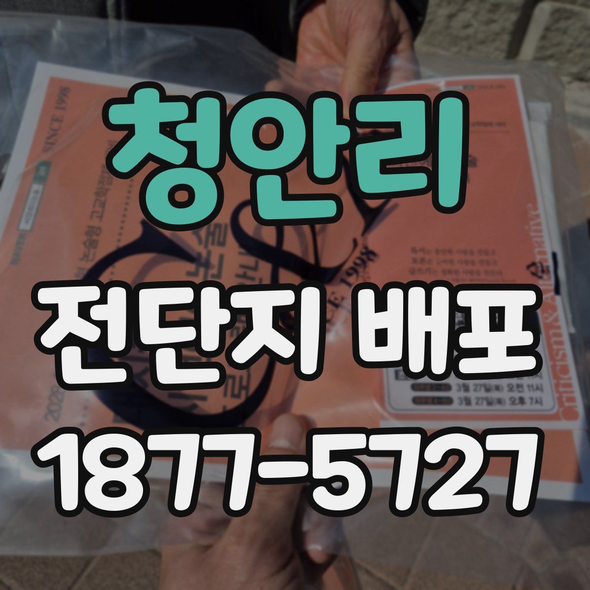청안리 전단지 배포