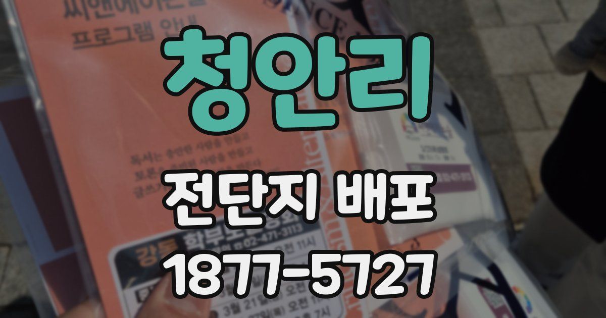 청안리 전단지 배포