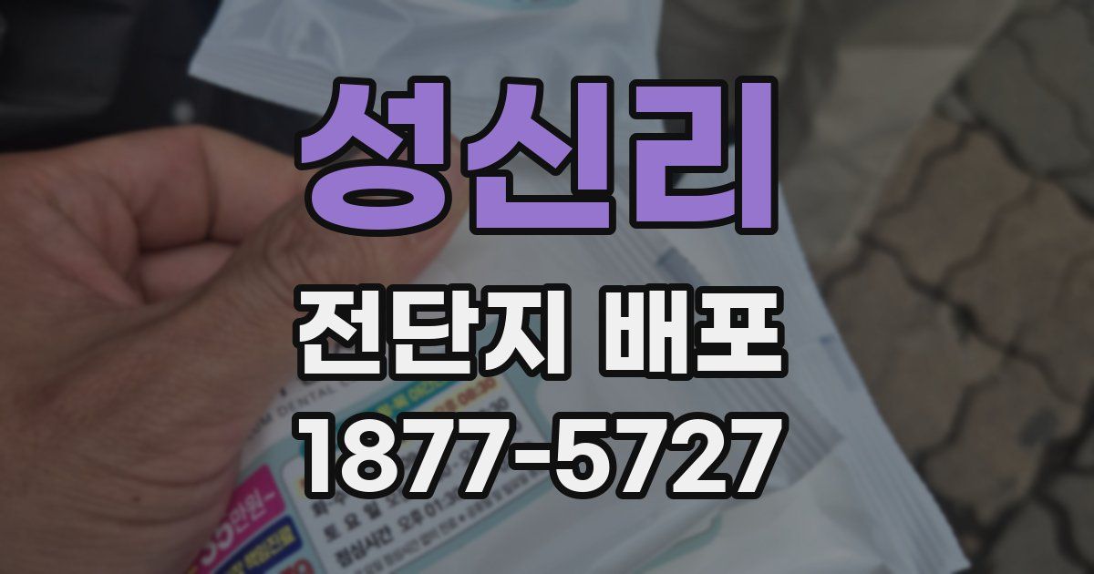 성신리 전단지 배포