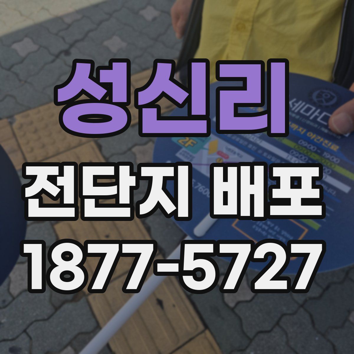 성신리 전단지 배포