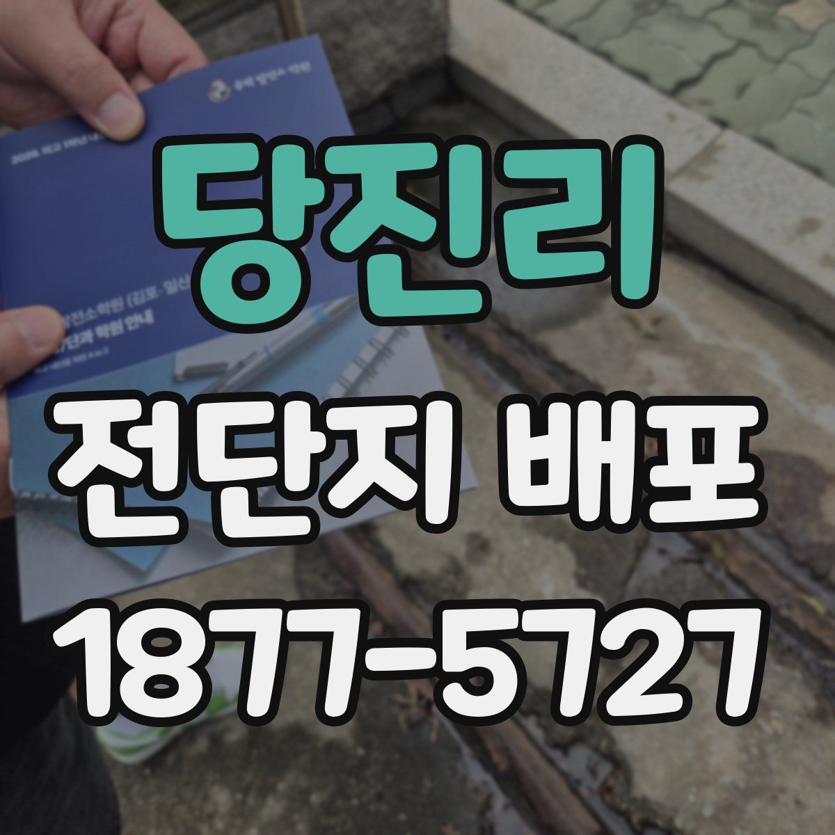 당진리 전단지 배포