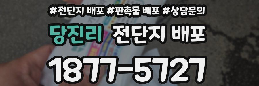 당진리 전단지 배포