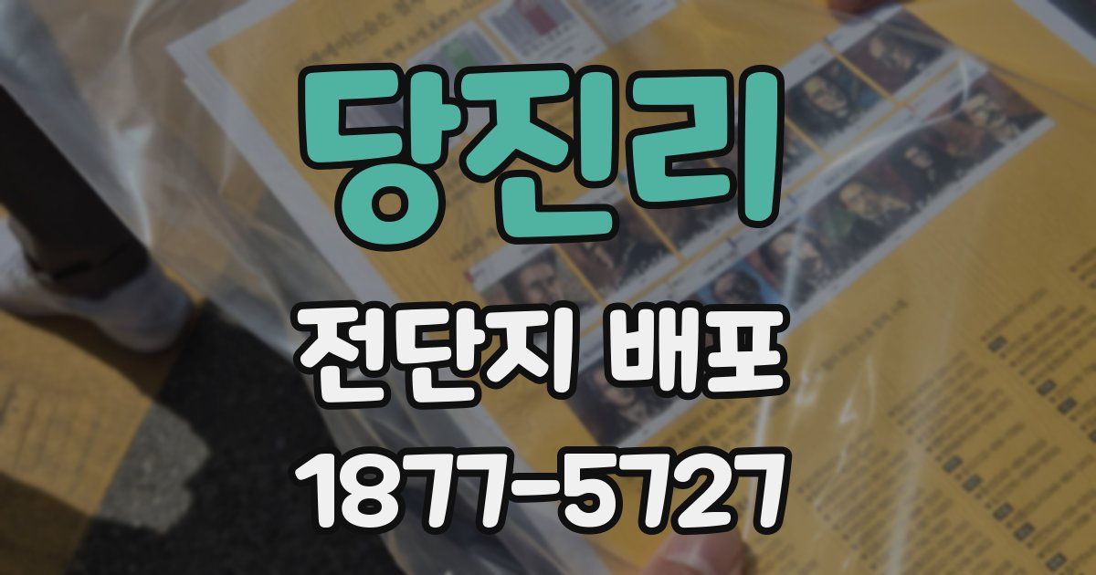 당진리 전단지 배포