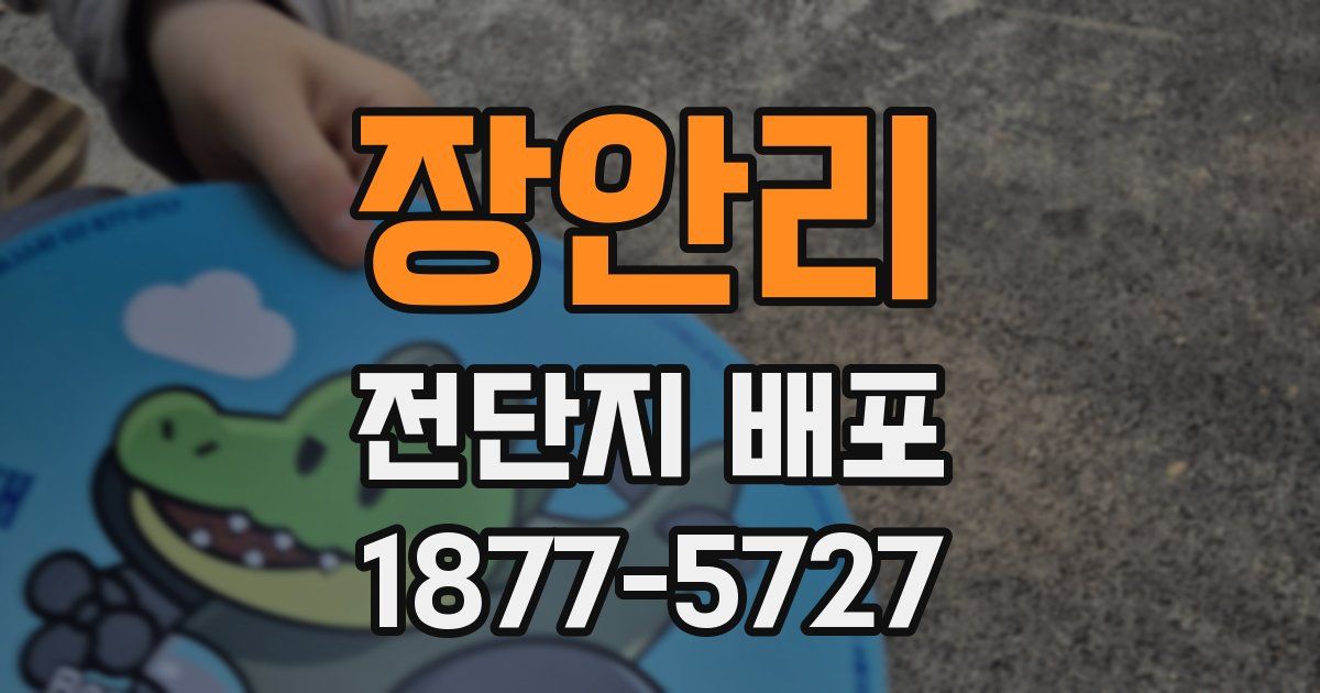 장안리 전단지 배포