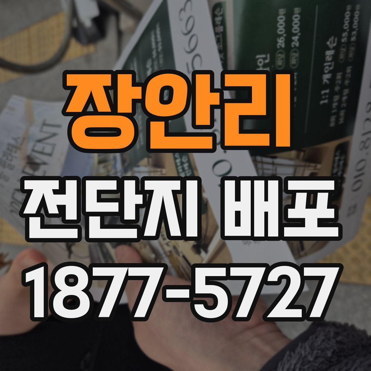 장안리 전단지 배포