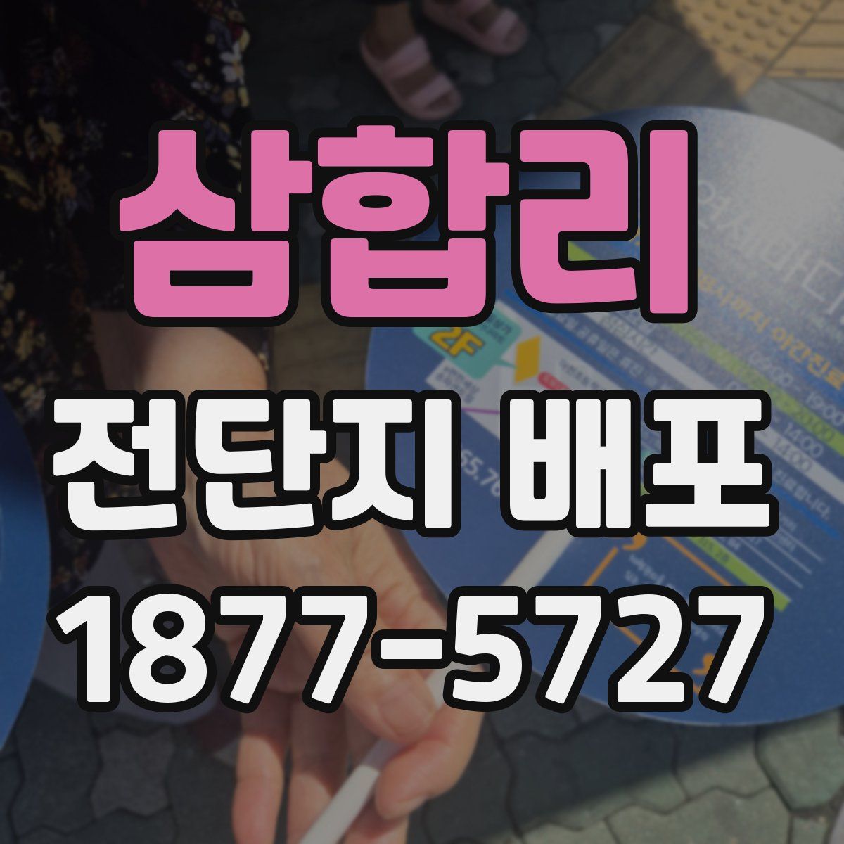 삼합리 전단지 배포