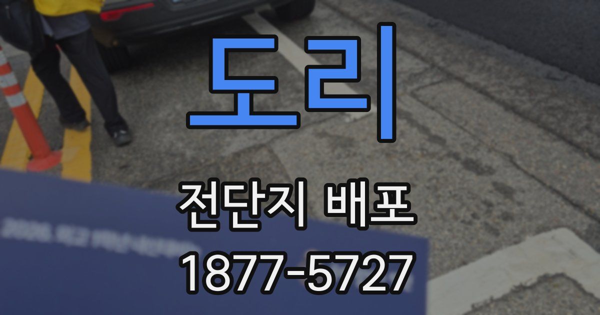 도리 전단지 배포