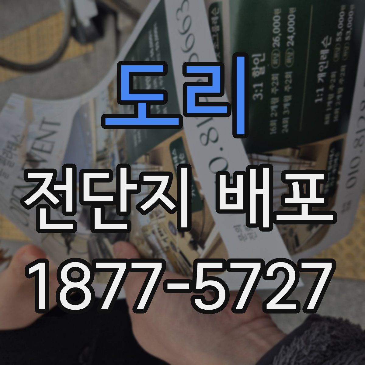 도리 전단지 배포