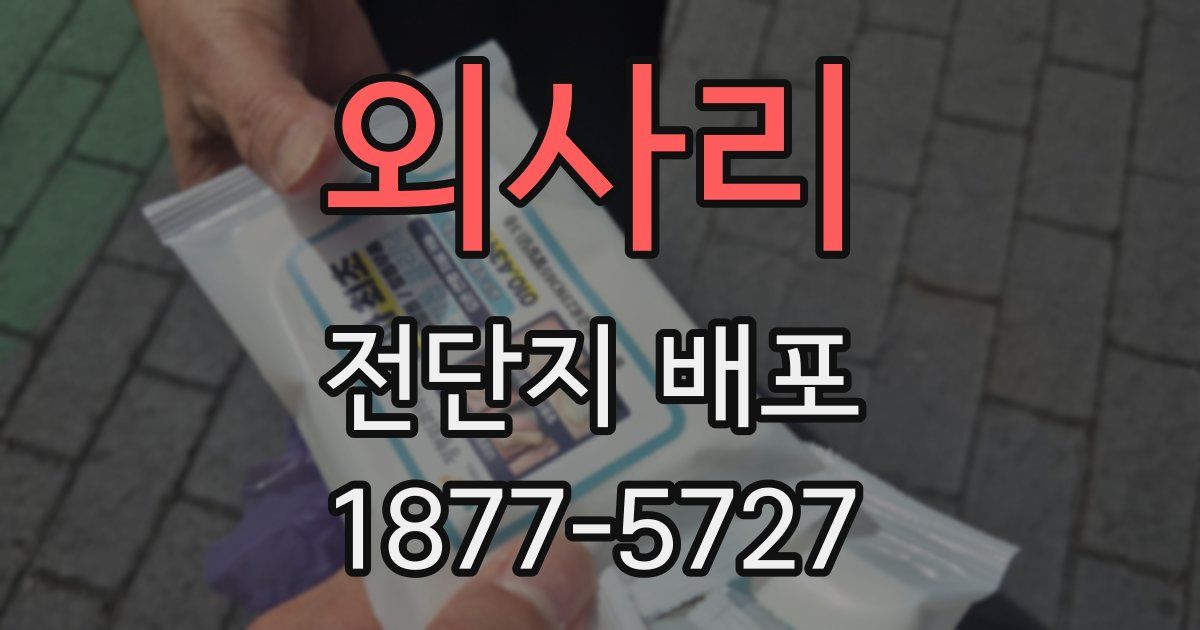 외사리 전단지 배포