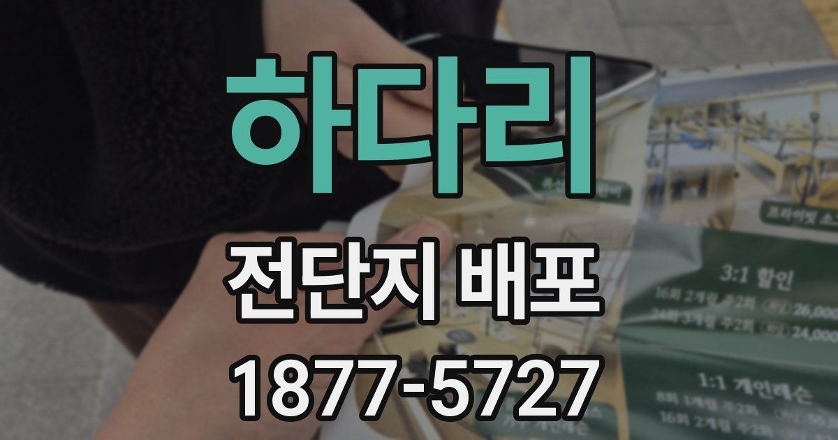 하다리 전단지 배포