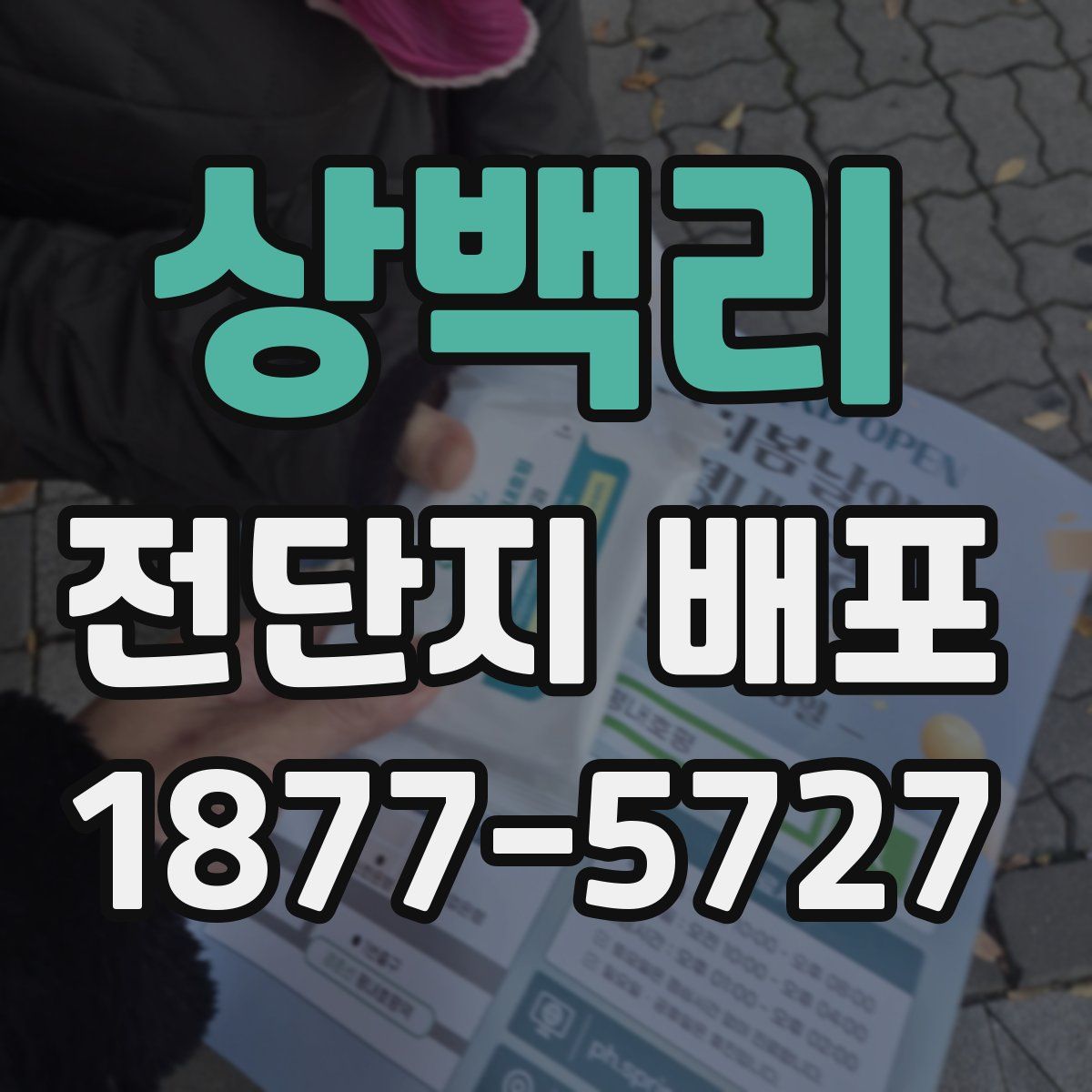 상백리 전단지 배포