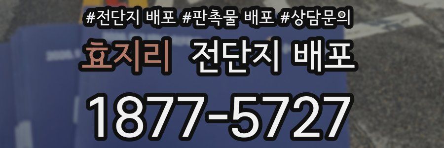효지리 전단지 배포