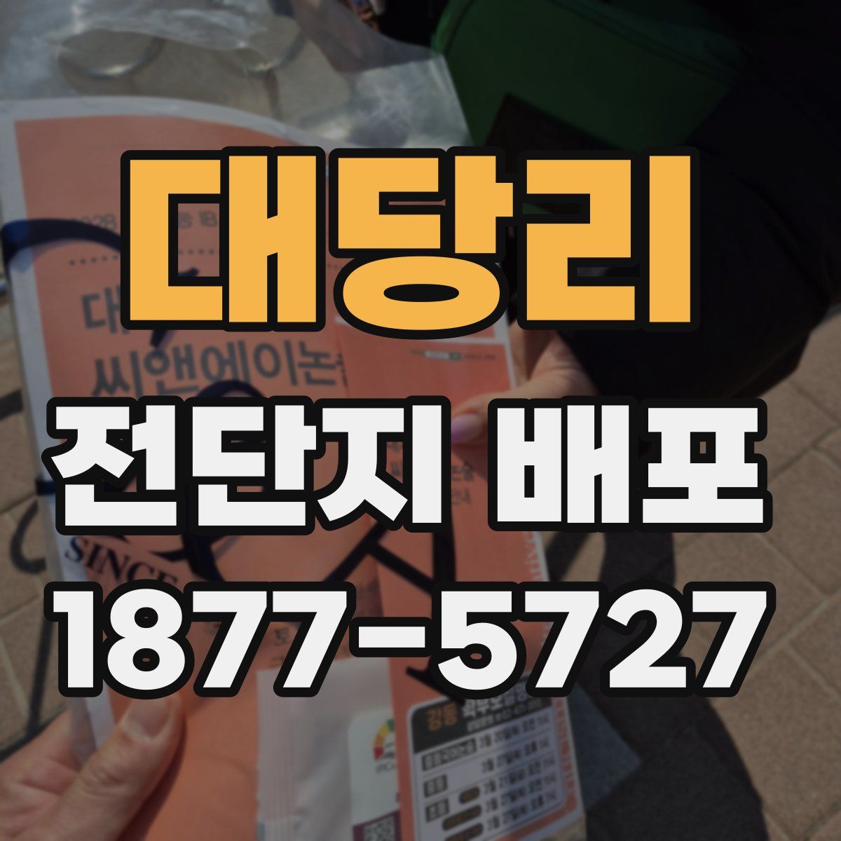 대당리 전단지 배포
