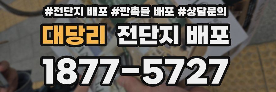 대당리 전단지 배포