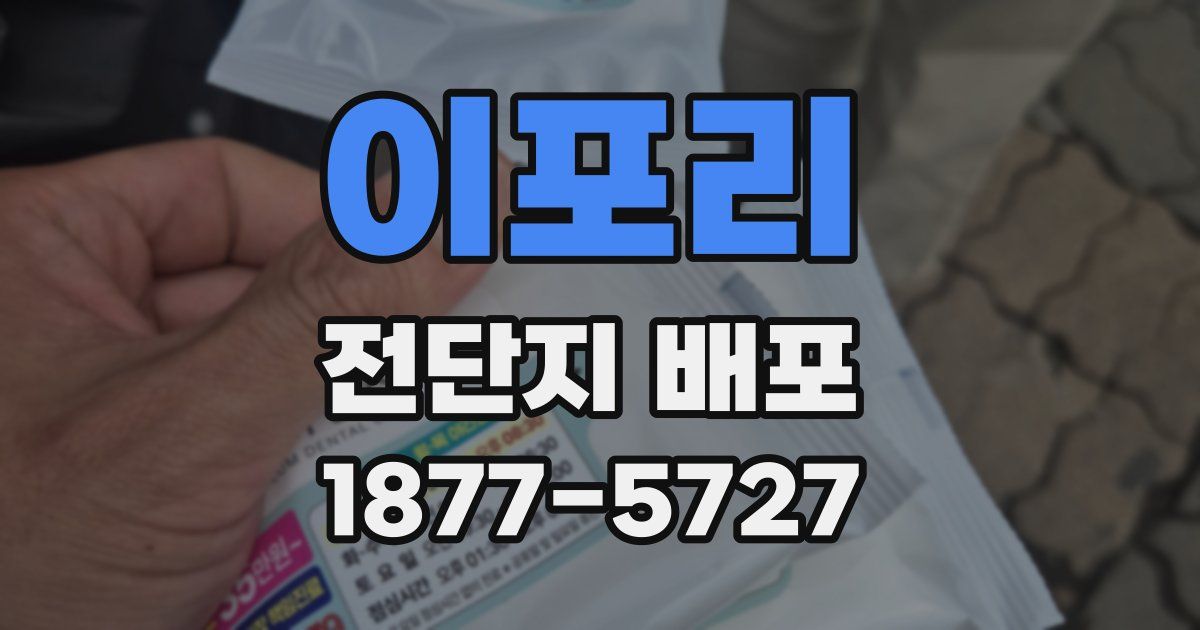 이포리 전단지 배포