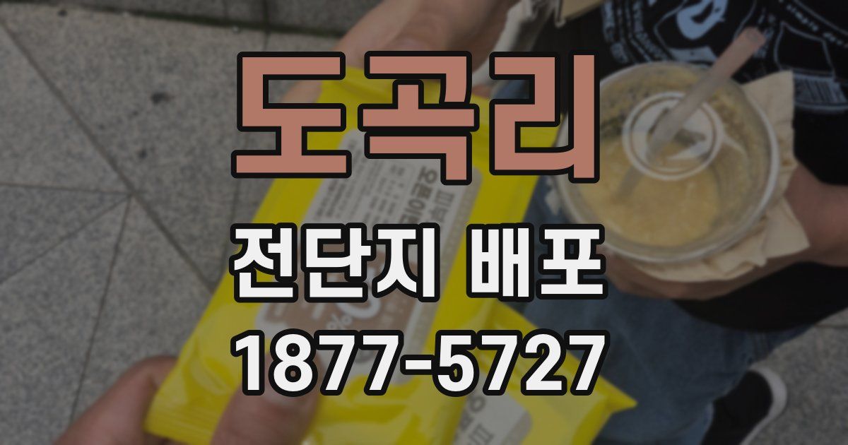 도곡리 전단지 배포
