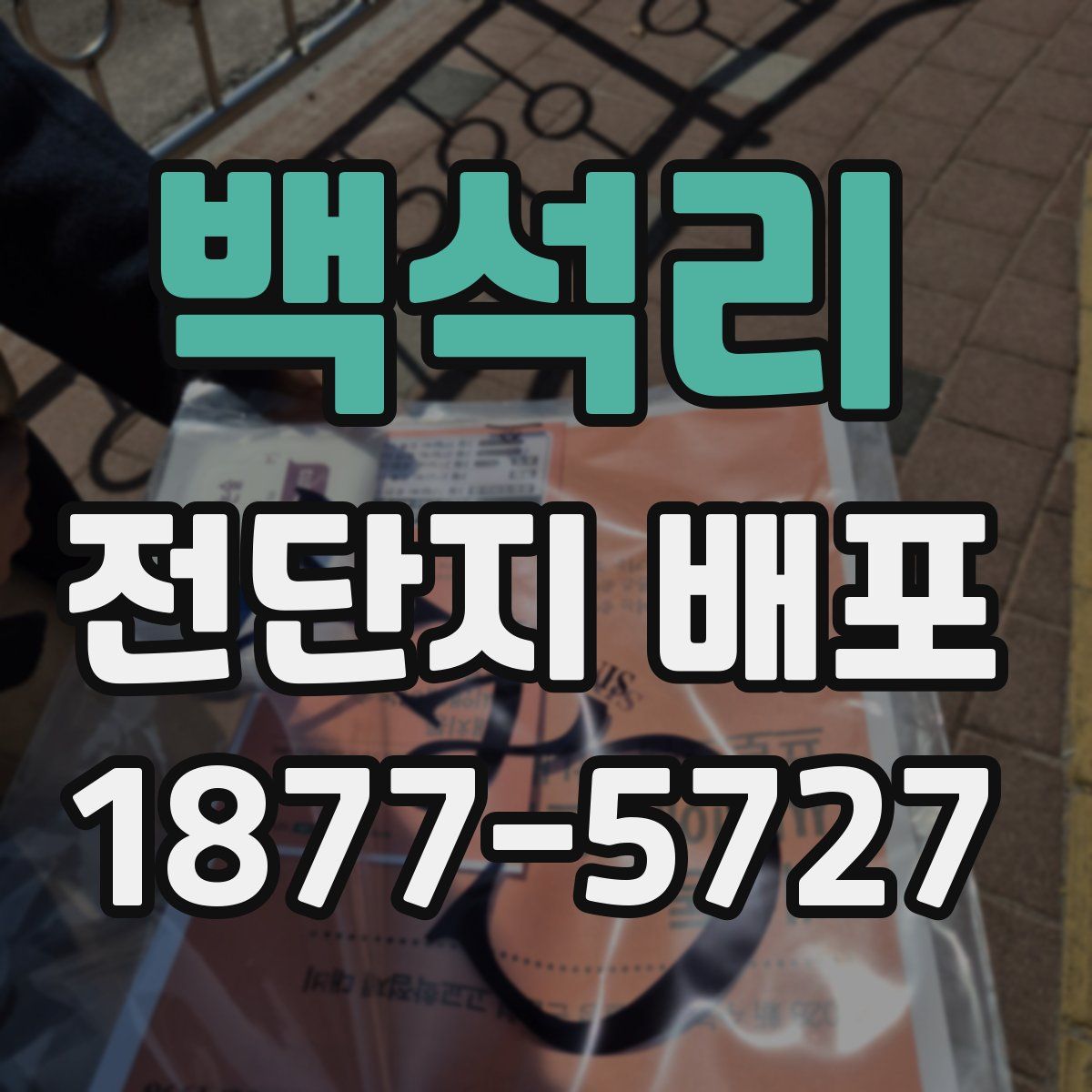 백석리 전단지 배포