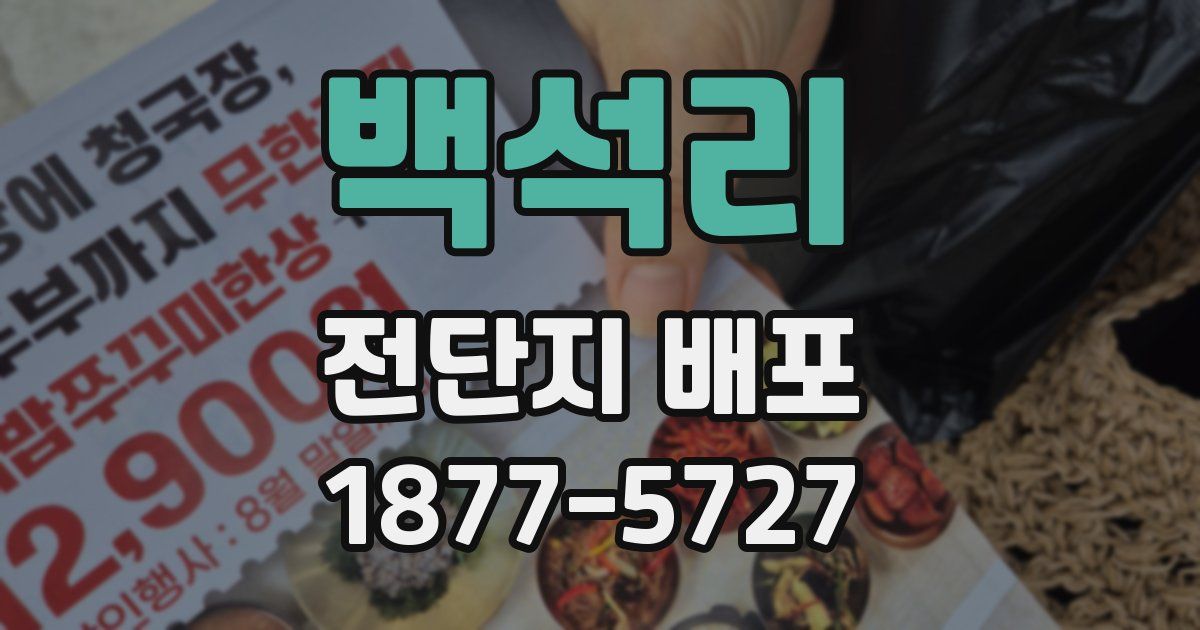 백석리 전단지 배포