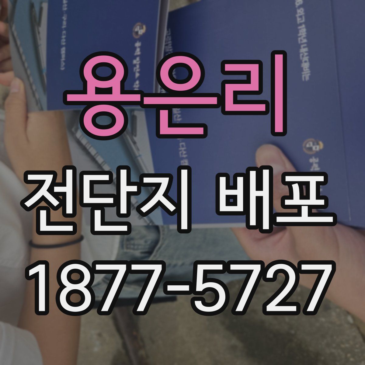 용은리 전단지 배포