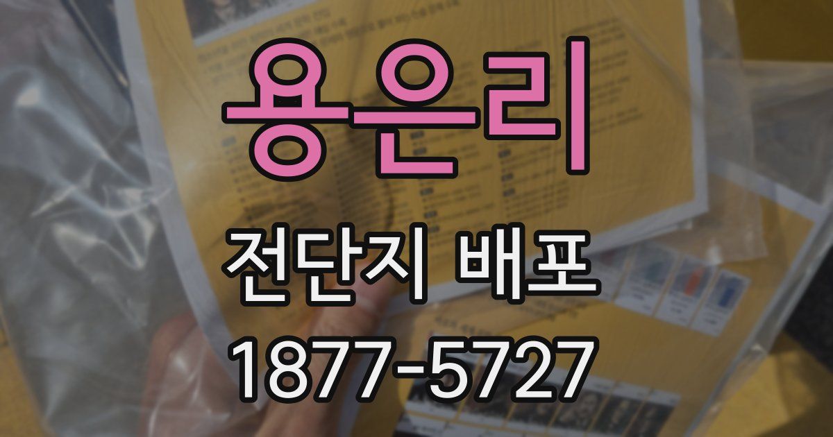 용은리 전단지 배포