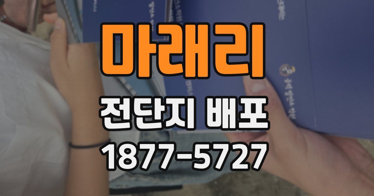 마래리 전단지 배포