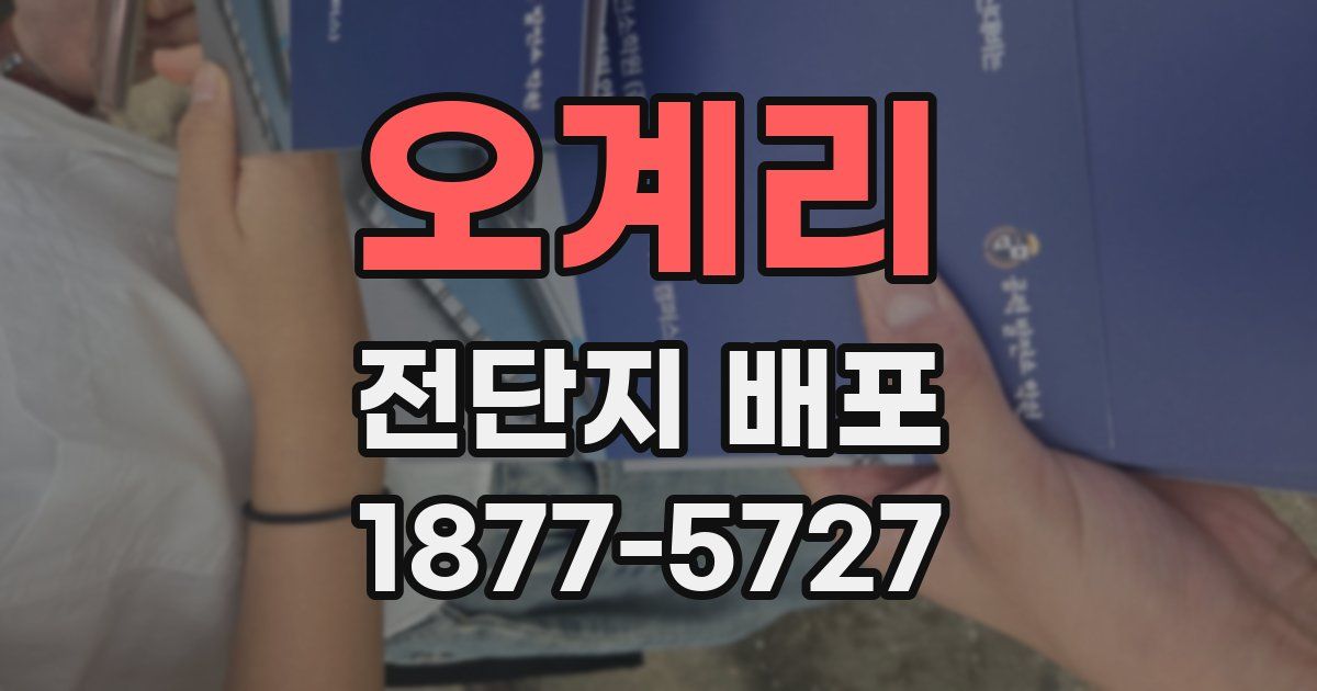 오계리 전단지 배포