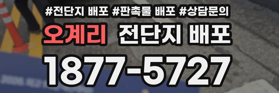 오계리 전단지 배포