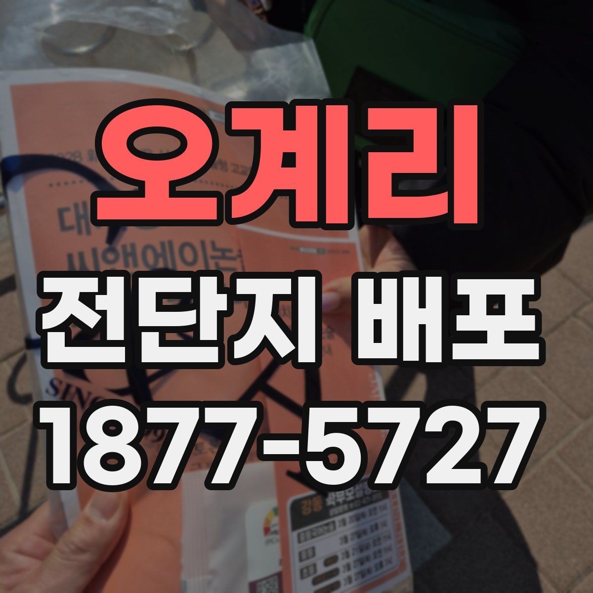 오계리 전단지 배포