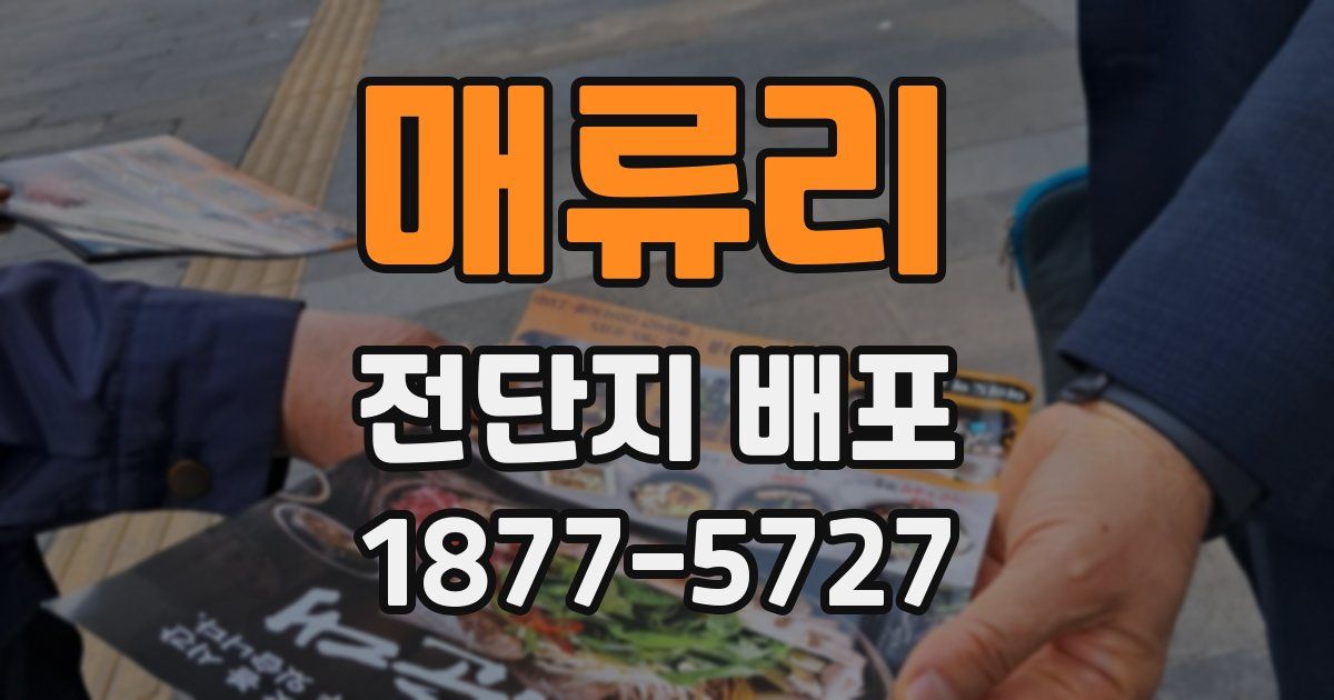 매류리 전단지 배포