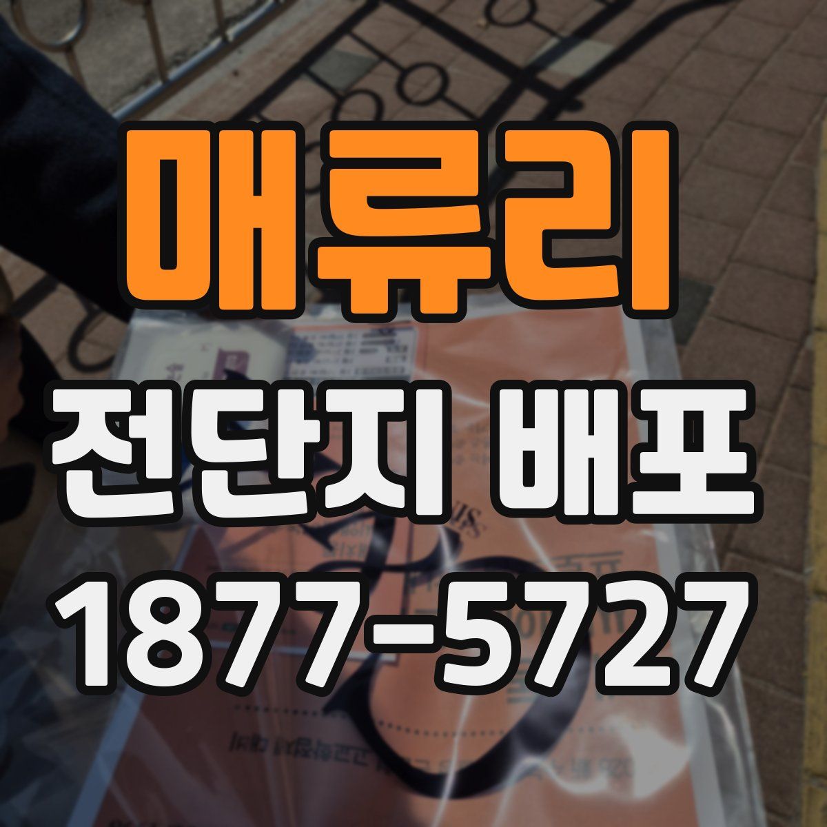 매류리 전단지 배포