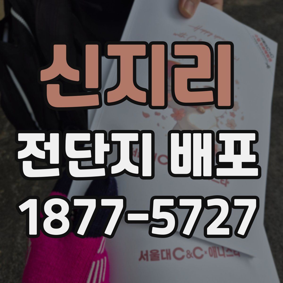 신지리 전단지 배포