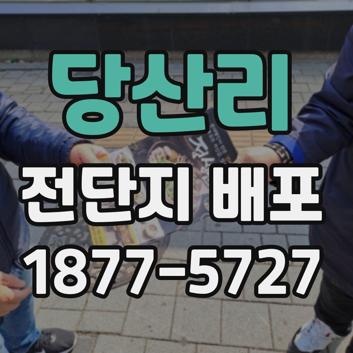 당산리 전단지 배포