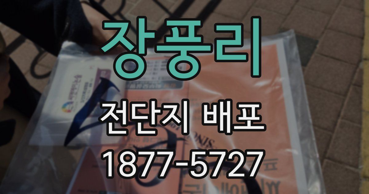 장풍리 전단지 배포