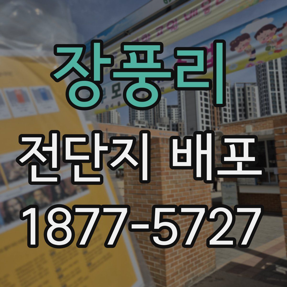 장풍리 전단지 배포
