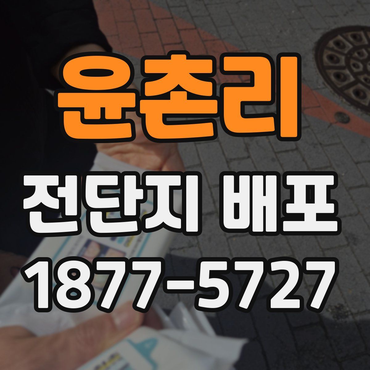 윤촌리 전단지 배포